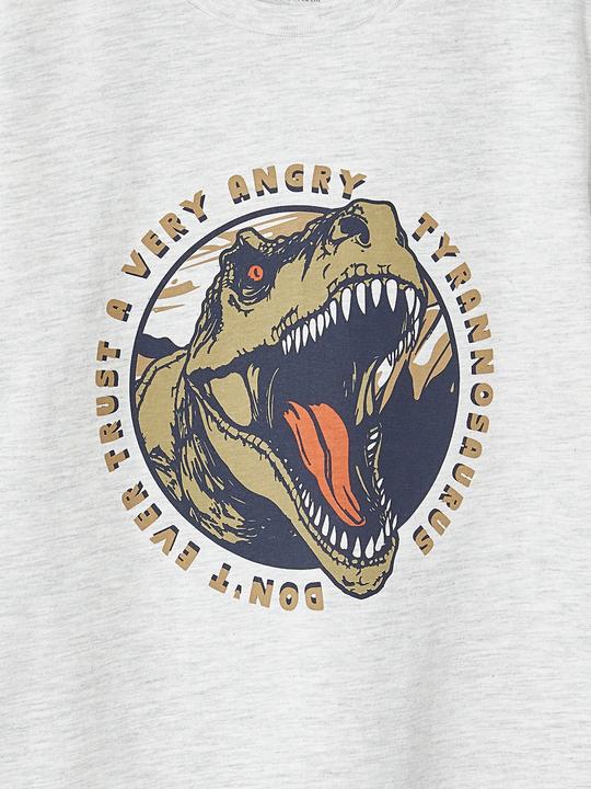 Actual product image Vertbaudet Jungen T-Shirt mit Dino, Recycling-Baumwolle (92)