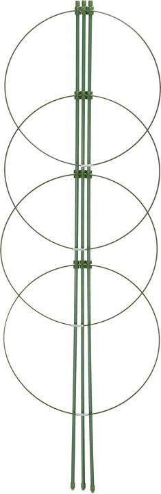 Image du produit Relaxdays 6x support pour plantes grimpantes (28 cm, 28 cm)