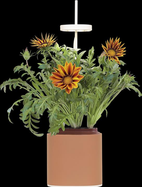 Actual product image Prêt à Pousser Herb pot Nano, Terracota (13.50 cm)