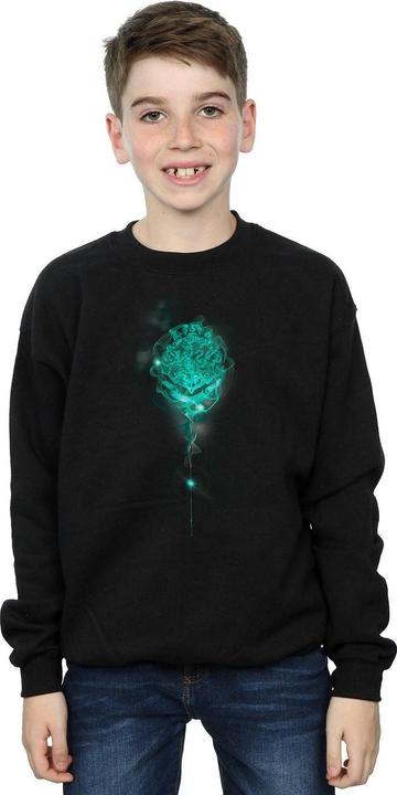 Actual product image Boys Hogwarts Crest Mist Sweatshirt (140, 146)