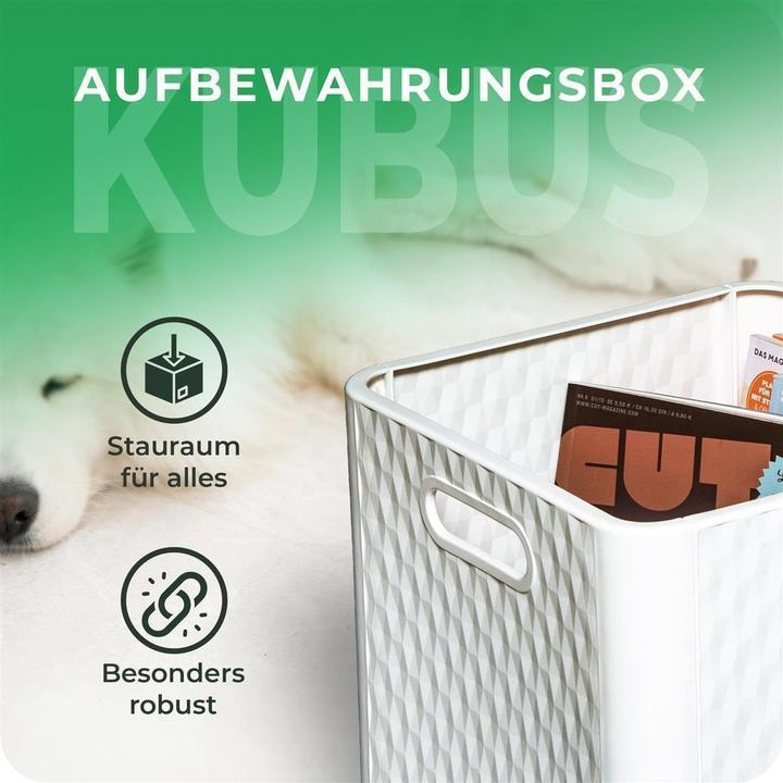 Actual product image Novaliv 3X Box 30x30x30 cm Weiss Boxen für Kallax Regal Körbe 30x30 Aufbewahrungsbox Regal als Schran (30 x 30 x 30 cm, 25 l)