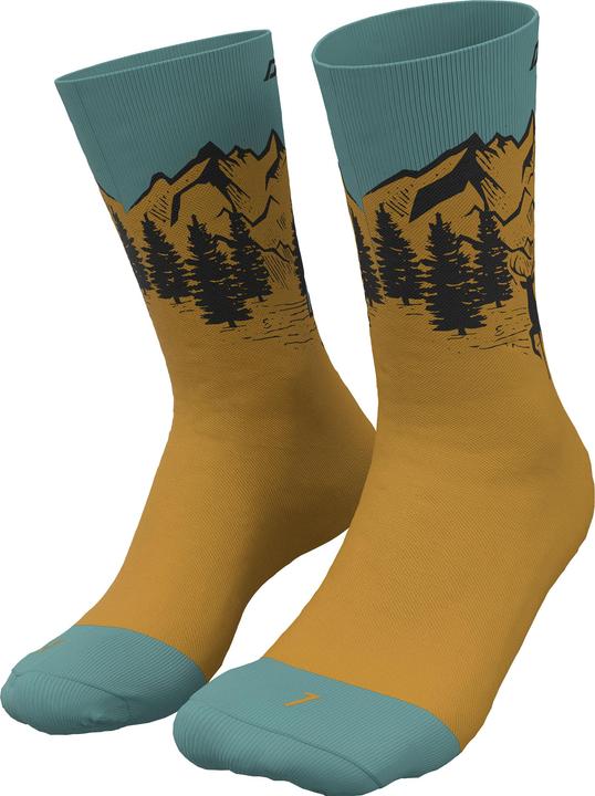 Produktbild Dynafit Stay Fast Socks (43 - 46)