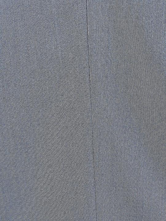 Actual product image Carl Gross Suit Pants (56)