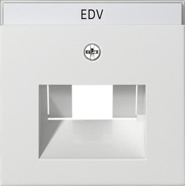 Actual product image Gira Central insert