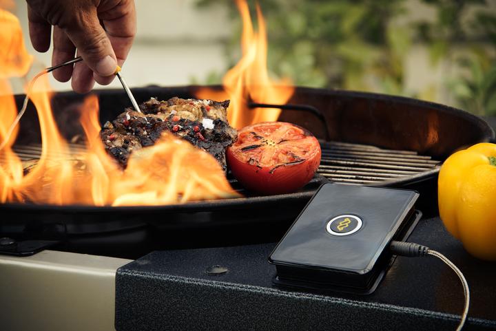 Actual product image WeGrill One