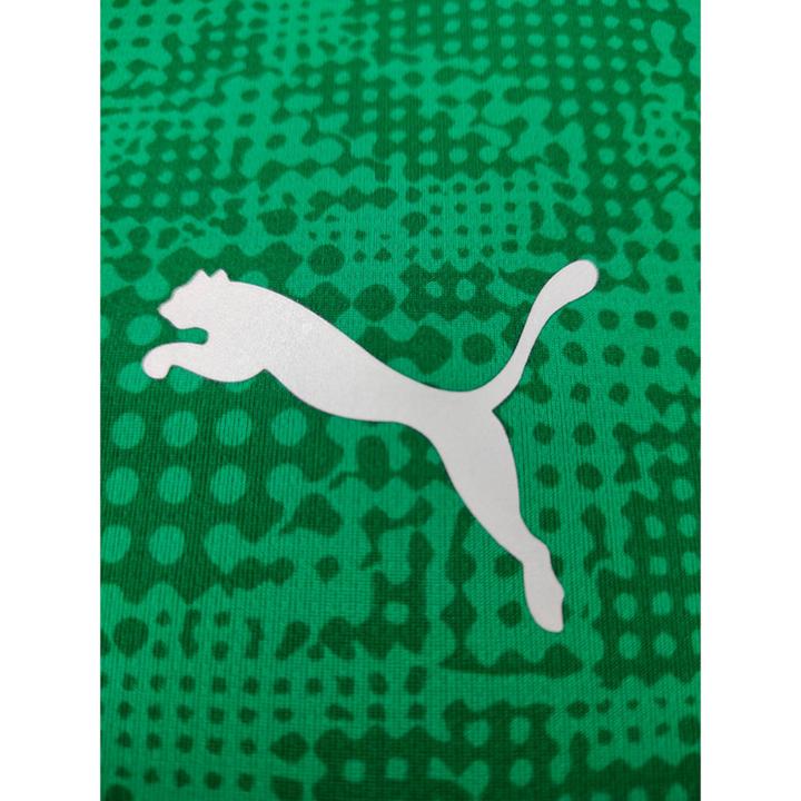Actual product image Puma teamCUP Training Jersey (L)