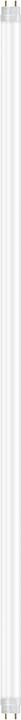 Osram Sensore di movimento SubstiTube (G13, 20.60 W, 3100 lm, 1 x, C)