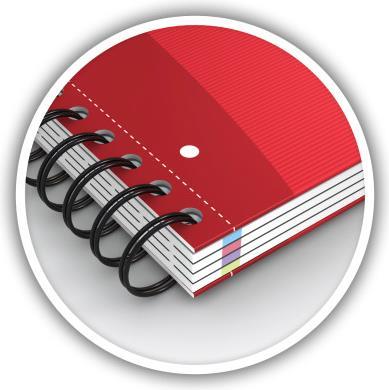 Produktbild Oxford European Book (A4, Kariert, Harter Einband)