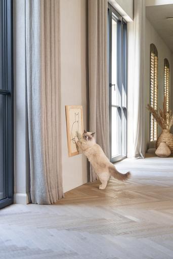 Immagine prodotto Designed by Lotte Sammy (50 cm, Beige)