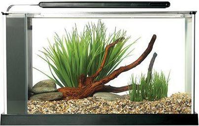 Produktbild Fluval Spec (19 l)