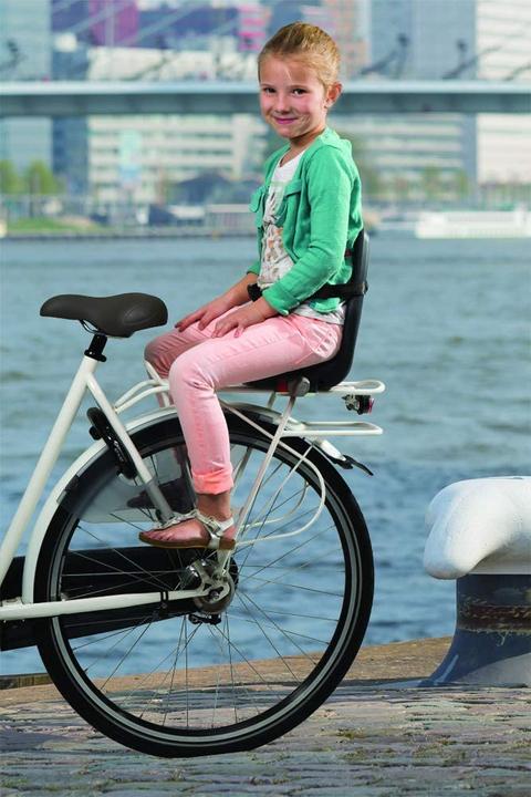 Image du produit Widek Junior (Porte-bagages)
