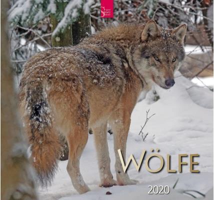 Actual product image Wolves 800361946 EN, 33x31cm, 2020