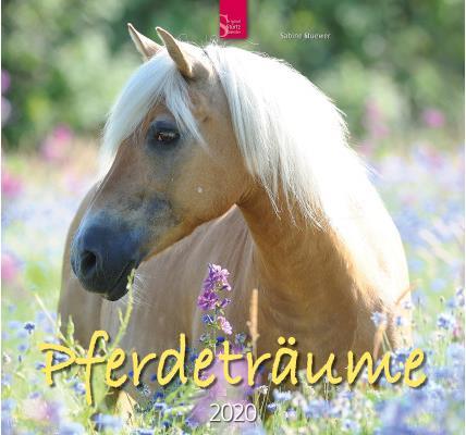 Actual product image Horse dreams 800361885 EN, 33x31cm, 2020