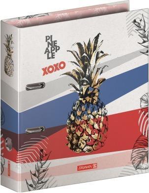 Immagine prodotto Cartella Pineapple A4 102042965 multicolore