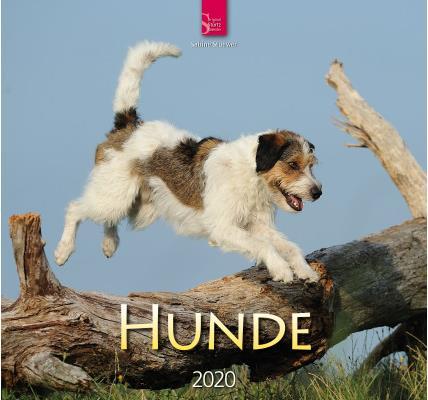 Produktbild Hunde 800361601 DE, 33x31cm, 2020