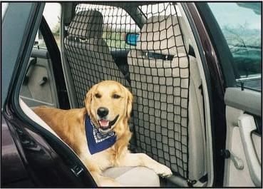 Produktbild Swisspet Universal (Hund, Sicherheitsverschluss)