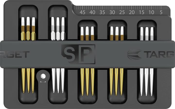 Target Cassaforte Swiss Point