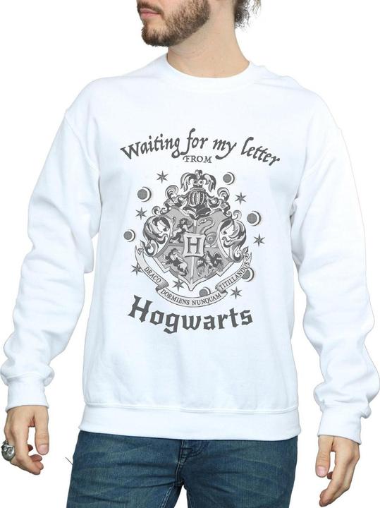 Produktbild Hogwarts Waiting For My Letter Sweatshirt (L)