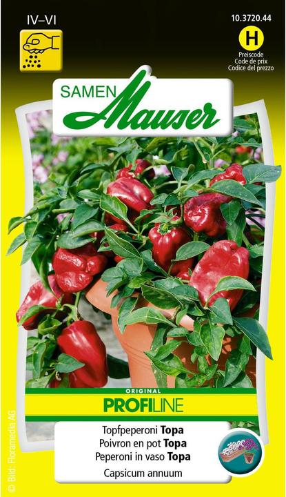 Poivrons (Graines de légumes)