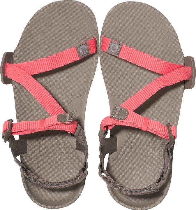 Actual product image Xero Shoes Z-Trail EV (40.5)