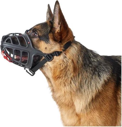 Actual product image Hunter Albury - Muzzle - 4 (4, Dog, General)