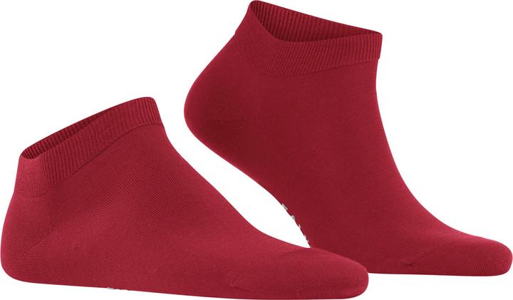 Produktbild Falke ClimaWool (Einzelpack, 45 - 46)