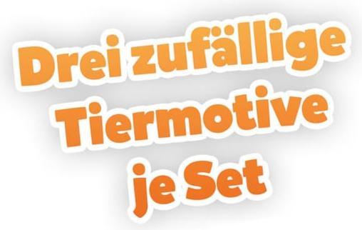 Actual product image Tigermedia Wildcard Swiss Edition (3 pieces with 120 minutes each) (German, Swiss German)