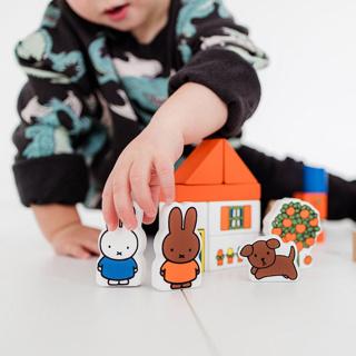 Actual product image Bambolino Toys Nijntje wooden building block bin 50 pieces