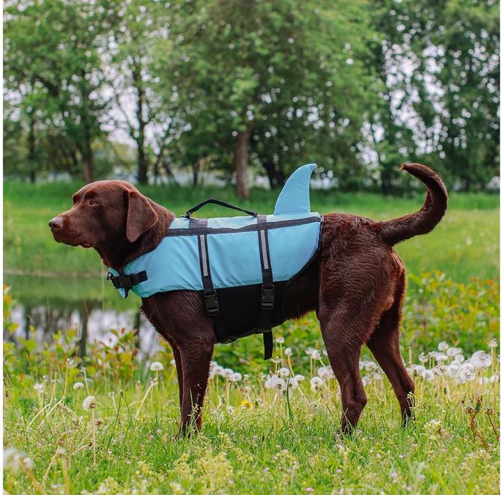 Actual product image Nobby Sharki (M, Dog life jacket)
