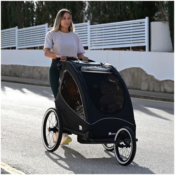 Actual product image Deryan 3in1 Fahrradanhänger für 2 Kinder