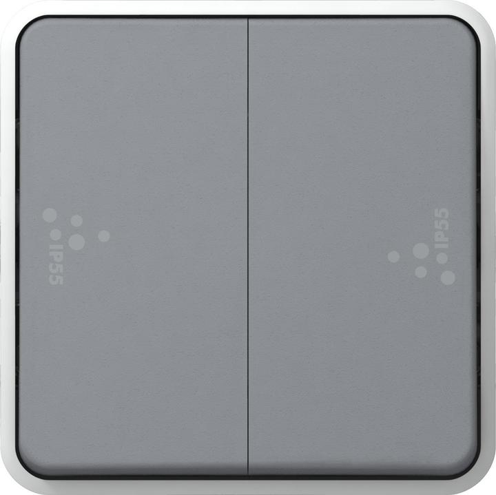 Actual product image Legrand Plexo 55 2 Gang 2 Way Switch Modular