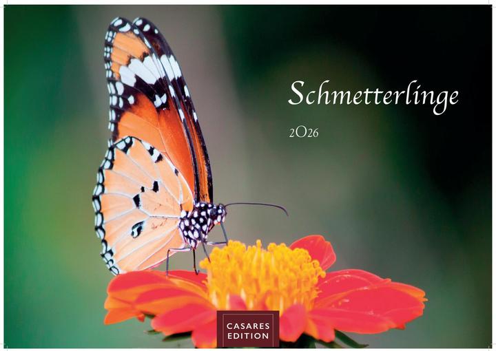 Immagine prodotto Schmetterlinge 2026 L 35x50cm (35 x 50 cm, Tedesco)