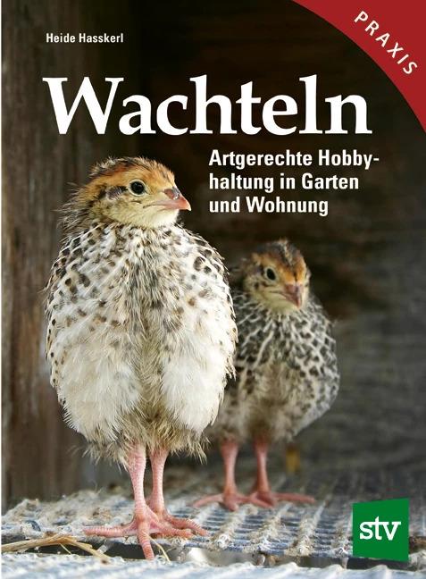 Wachteln (German, Heide Hasskerl, 2022)