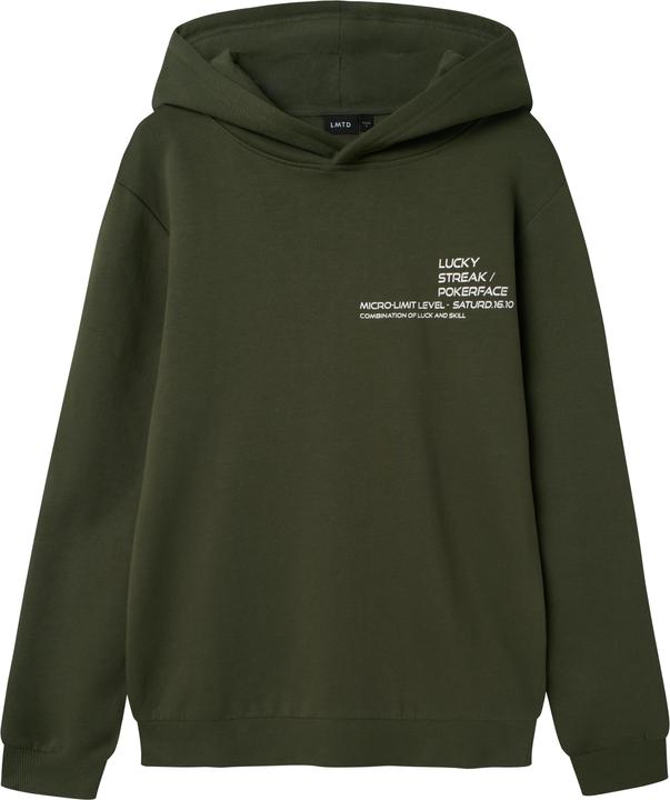 Lmtd Regular Fit Hoodie (122)
