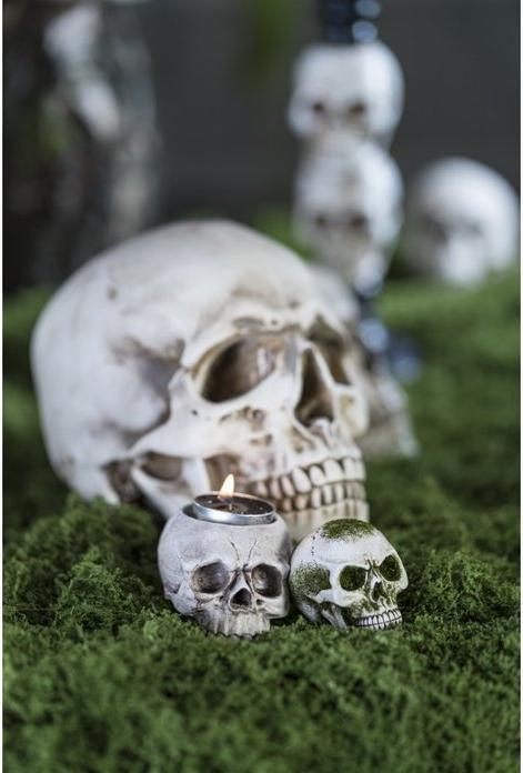 Immagine prodotto Chaks Teschio - Cranio