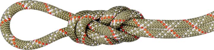 Actual product image Mammut 9.5 Gym Classic Rope 50m (50 m)