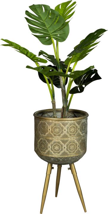 Image du produit Dutchbone Botanique (25.50 cm)