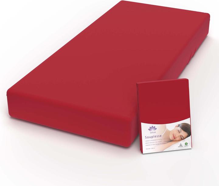 Immagine prodotto Lotus Bettwaren Lenzuolo matrimoniale in jersey Souplesse (90 x 190 cm, 100 x 200 cm, 90 x 200 cm)