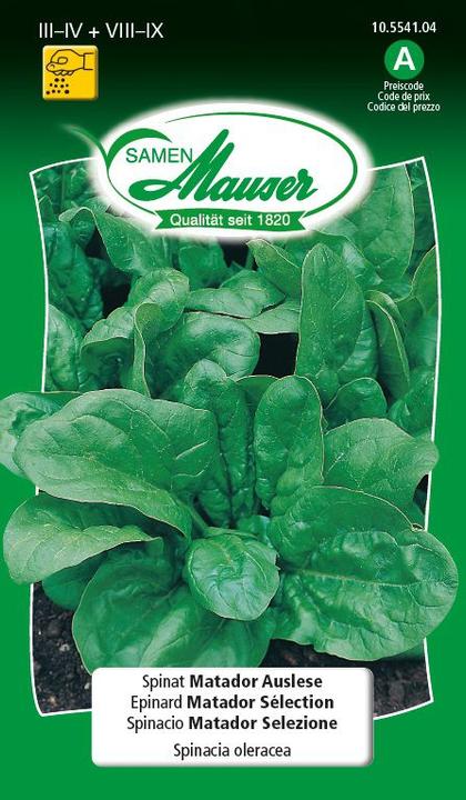 Image du produit Samen Mauser Sélection d'épinards Matador (Graines de légumes)