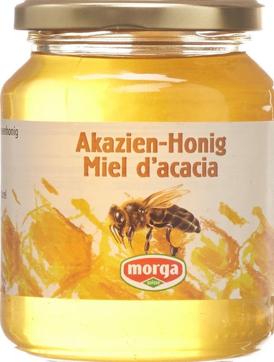 Actual product image Morga Acacia Honey Abroad (500 g)