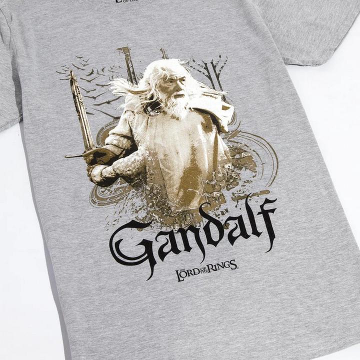 Image du produit Lord of the rings T-shirt (L)