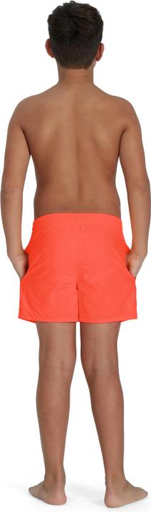 Produktbild Speedo Essential 13" Watershort (L)