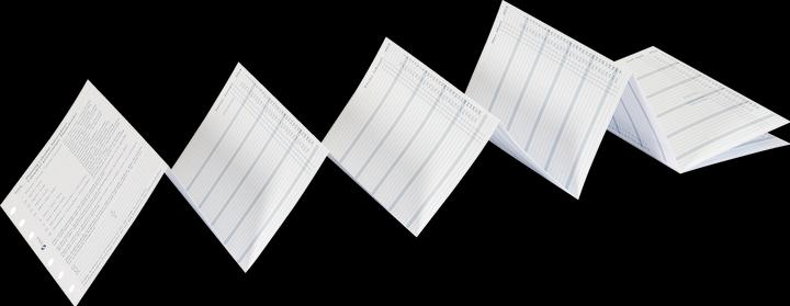 Succes Senior Jahresinhalt Januar - Dezember (9.5 x 15 cm, Deutsch, Englisch, Italienisch, Französisch)