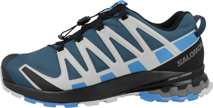 Produktbild Salomon XA PRO 3D V8 GTX MEN'S (43 1/3)