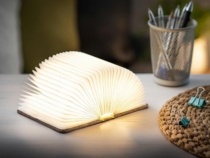 Image du produit Gingko Mini Smart Book Light
