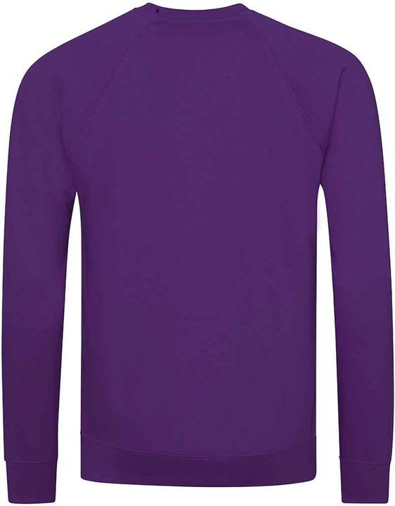 Actual product image Awdis Childrens/Kids Academy Raglan Sweatshirt (XL)