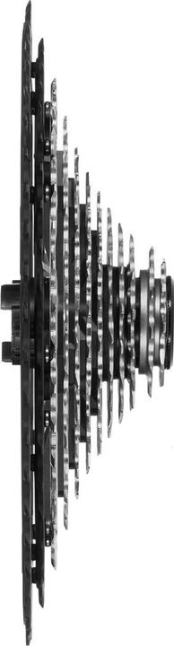 Actual product image Shimano Deore XT CS-M8100 (12-speed, 10-51)