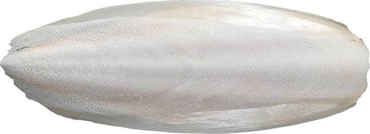 Immagine prodotto Exo Terra Ossa e guscio di seppia (2 x, 0.11 kg)