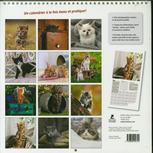 Immagine prodotto Chatons : calendario 2025 (Copertina rigida, Francese)