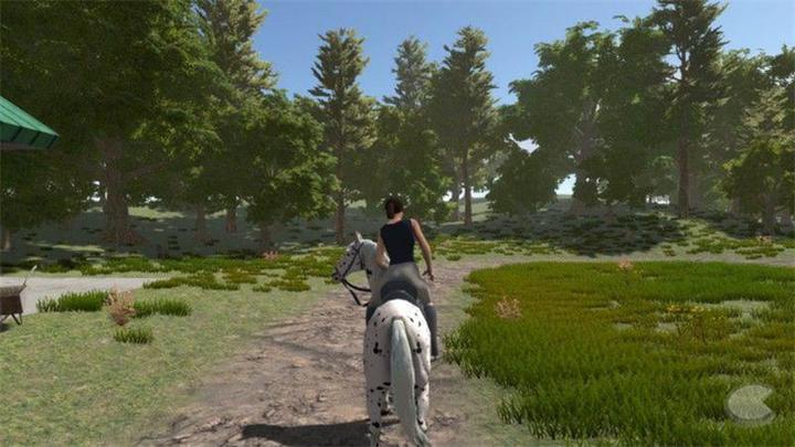 Image du produit Bigben My little Riding Champion (PS4, DE)
